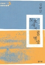도요새에 관한 명상(청소년 현대문학선 019)